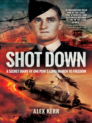 cover image of Shot Down